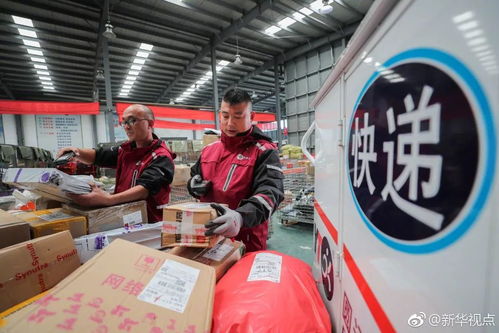 雙11成都消費(fèi)者最愛(ài)買什么 成都 海淘 為啥便宜 收貨還快