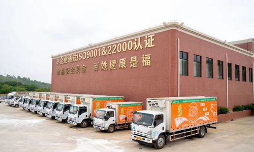 廣東羅定天溪冷鏈物流產地倉一期項目正式動工，助力海淘物流升級